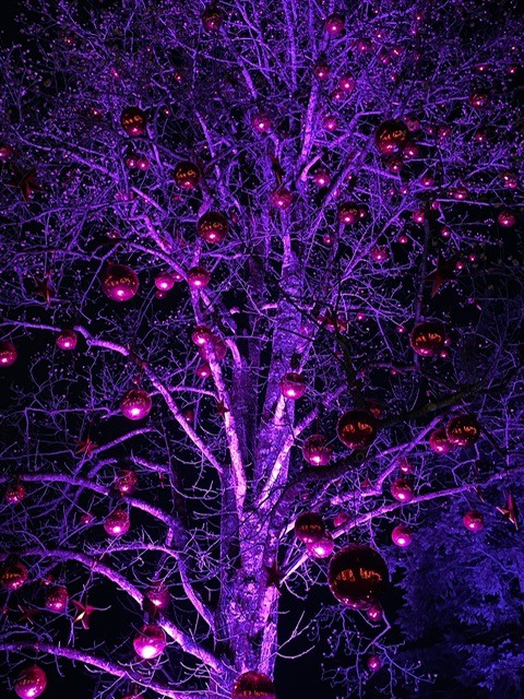 Mehr über den Artikel erfahren Weihnachtsgrüße